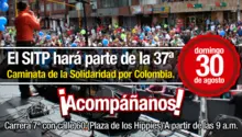 caminata-solidaridad-tm.png