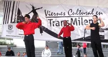 20_viernescultura2009-eventok25.jpg