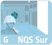 07_nqs_sur.jpg