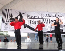 20_viernescultura2009-eventok25.jpg